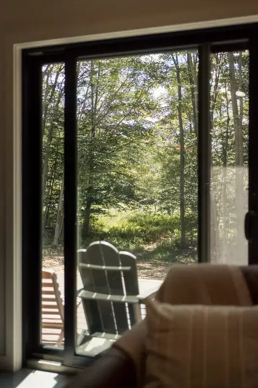 Forest view through the living room doors