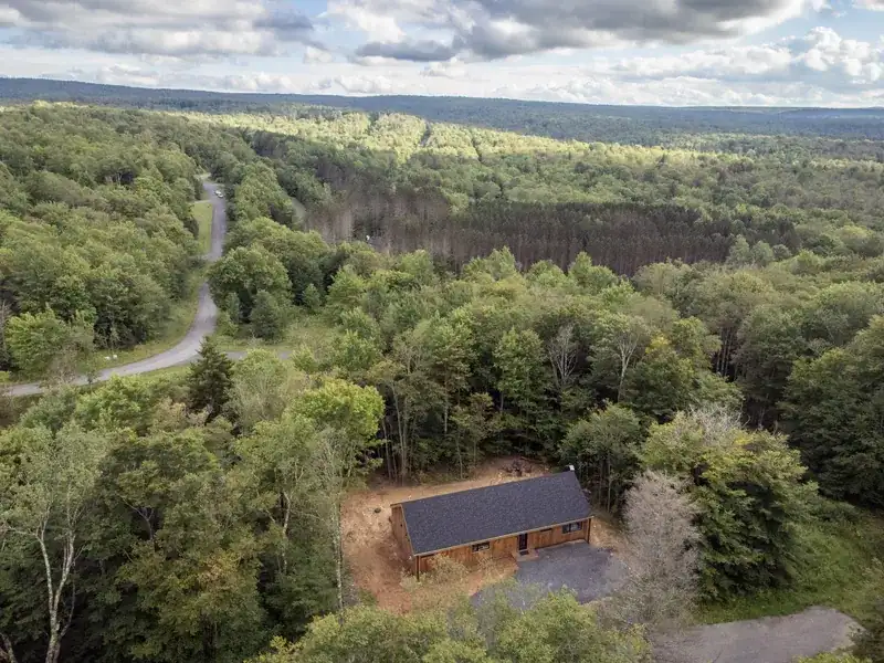 Casa Vetta surrounded by forest