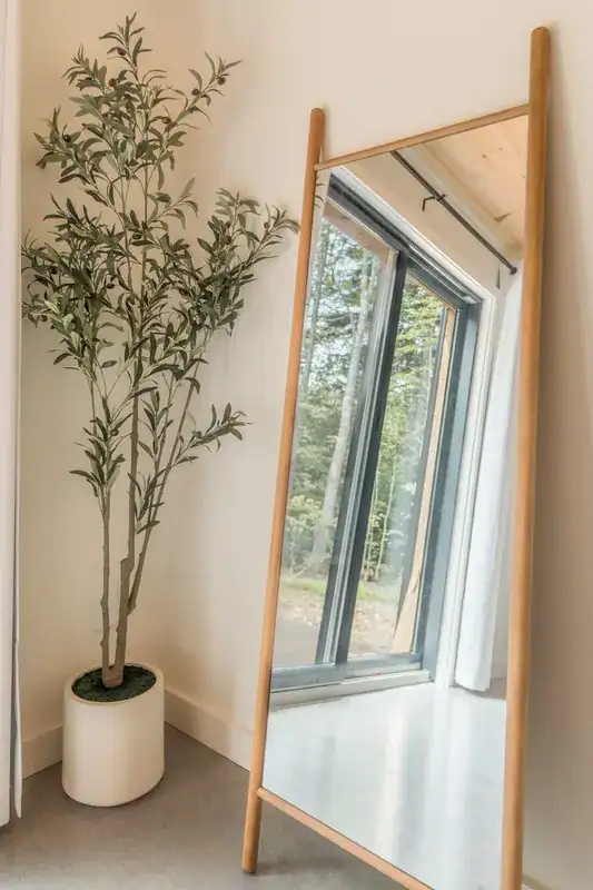 Full-length bedroom mirror and potted tree