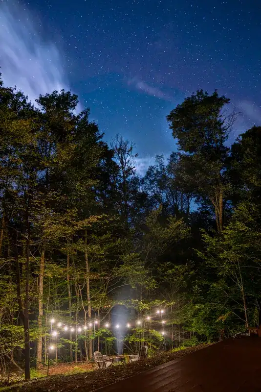 String lights in the forest at dusk