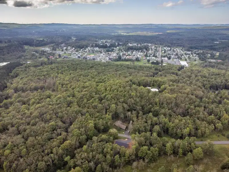 Forest and nearby town seen from the air